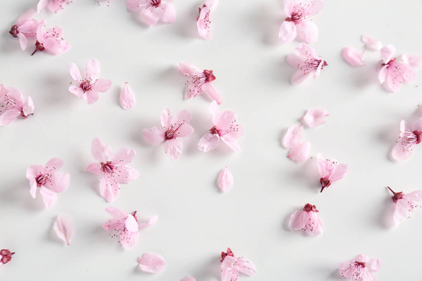 schöne Blumen auf weißem Hintergrund - Foto, Bild