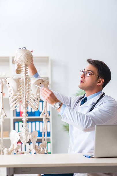 Чоловік-лікар зі скелетом ізольований на білому
 - Фото, зображення
