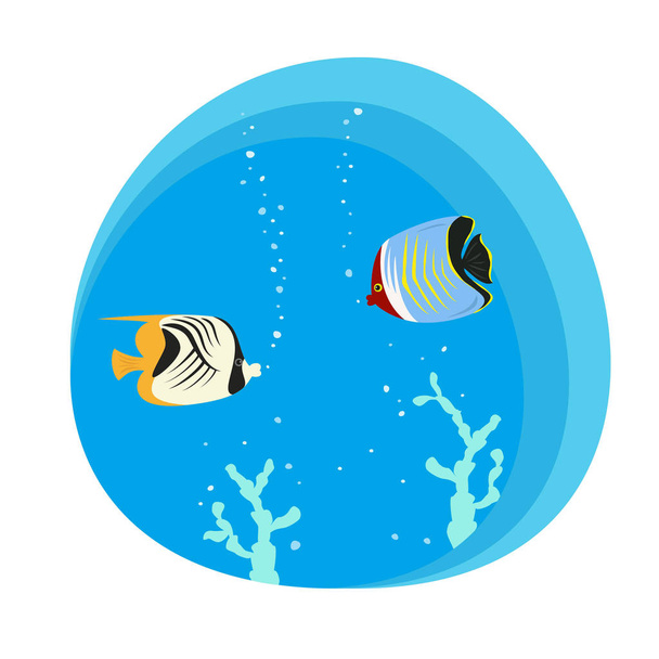 Tropical butterfly fishes on blue background. Vector illustration - Vector, Image