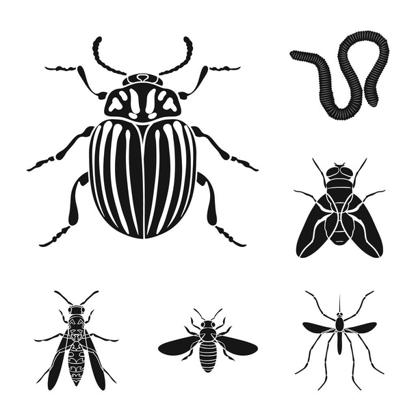 Different kinds of insects black icons in set collection for design. Insect arthropod vector symbol stock web illustration. - Vecteur, image