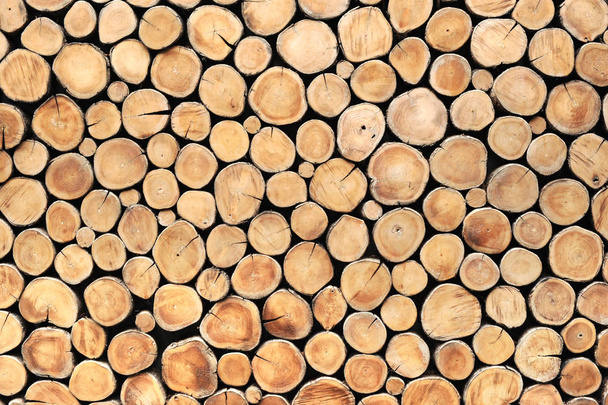 fondo de tronco de madera de teca redonda puede utilizar como papel de pared
 - Foto, Imagen