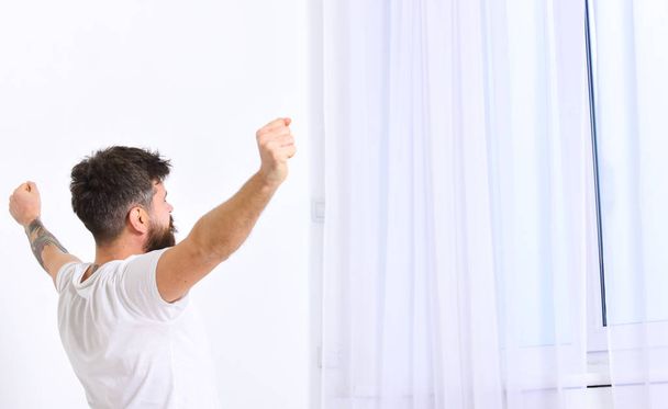 Guy stretching arms, full of energy in morning. Refreshment rest concept. Man in shirt sits on bed, white curtains on background, rear view. Macho with beard stretching, relaxing after nap, rest - Фото, зображення