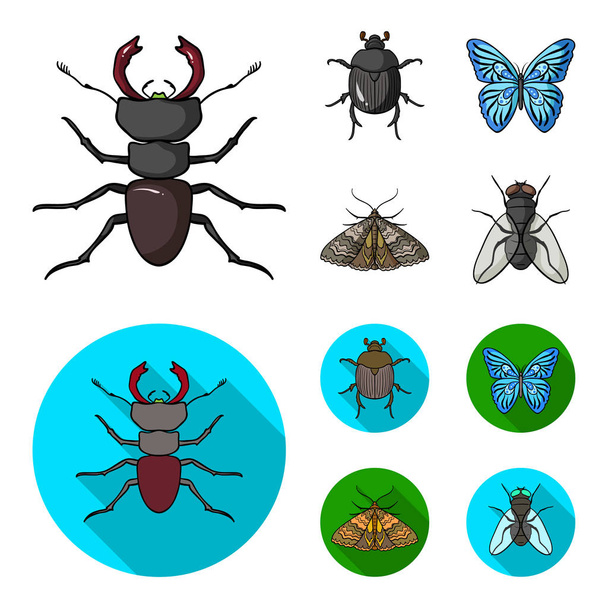 Zerstörer, Parasit, Natur, Schmetterling. Insekten setzen Sammlungssymbole in Cartoon, flachen Stil Vektor Symbol Stock Illustration Web. - Vektor, Bild
