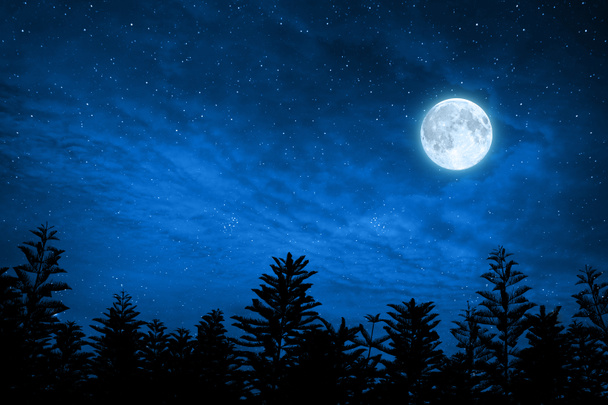 bosque en silueta con cielo nocturno estrellado y luna llena, Los elementos de esta imagen están amueblados por nasa
 - Foto, Imagen