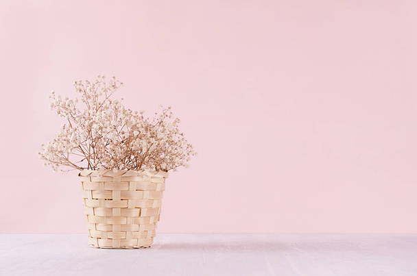 Small white dried flowers in beige wicker basket on soft pink pastel background. Fresh light gentle background. - Photo, Image