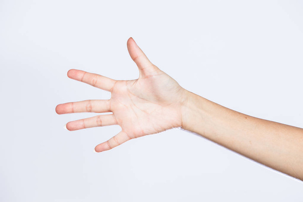 my wife hand in signal of five, - Fotografie, Obrázek