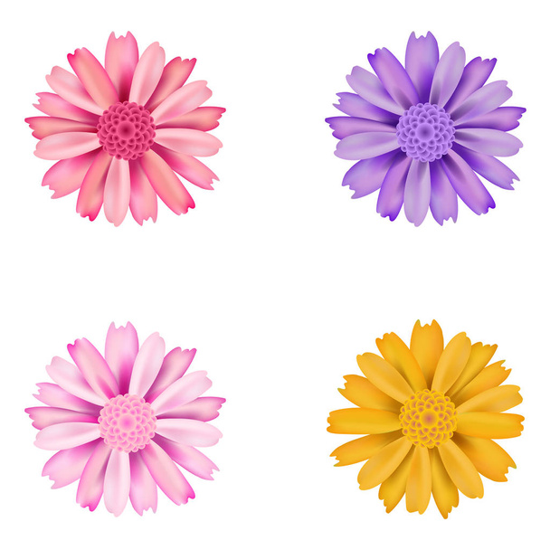 Szett, pink, lila, sárga és piros dahlia virág - Vektor, kép