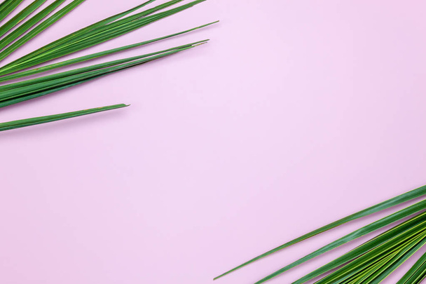 Table top view aerial image of summer season holiday background concept.Flat lay coconut or palm green leaf on modern rustic pink paper backdrop.Free space for creative design mock up text for content - Foto, Imagem