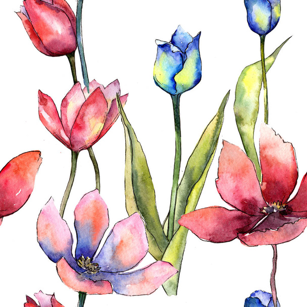 Une tulipe colorée. Fleur botanique florale. Modèle de fond sans couture. Texture d'impression de papier peint tissu. Aquarelle fleur sauvage pour fond, texture, motif d'emballage, cadre ou bordure
. - Photo, image