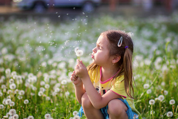 The child blows off fuzzes from a dandelion on a clearing - Photo, Image