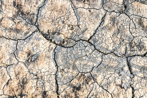 Текстура висушеної тріщини землі влітку. Концепція
 - Фото, зображення