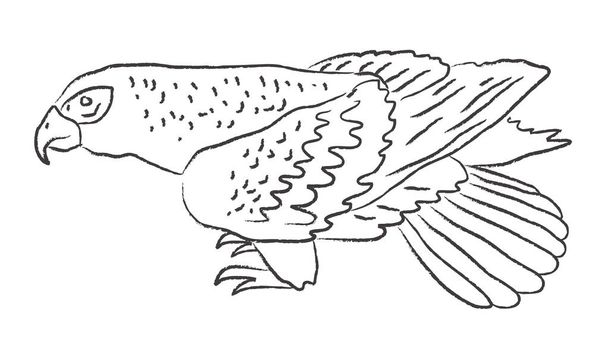 Feathered predator. Vector illustration. - Διάνυσμα, εικόνα