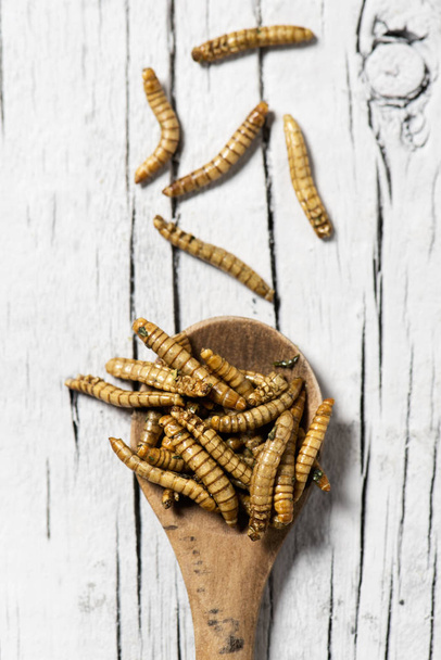 tiro de ângulo alto de alguns vermes fritos temperados com alho e ervas, em uma colher de madeira, em uma mesa de madeira branca rústica
 - Foto, Imagem