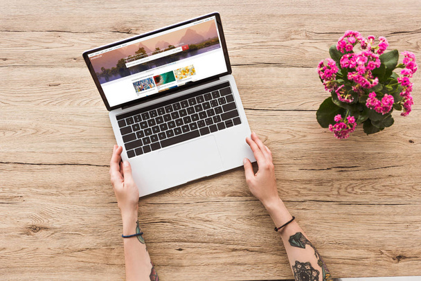 vue partielle de la femme sur la table avec ordinateur portable avec le site web shutterstock et usine de kalanhoe en pot de fleurs
 - Photo, image
