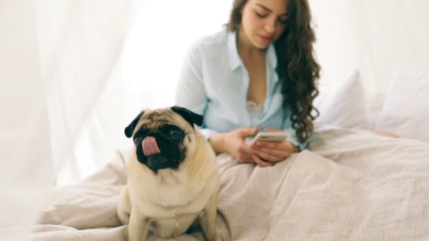 Chatting with cellphone woman sitting on the bed in light cozy bedroom with dog pug. Video footage - Кадри, відео