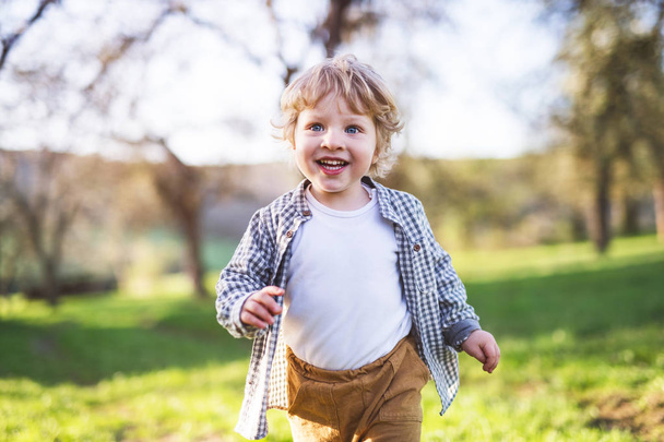 Happy toddler boy running outside in spring nature. - Zdjęcie, obraz