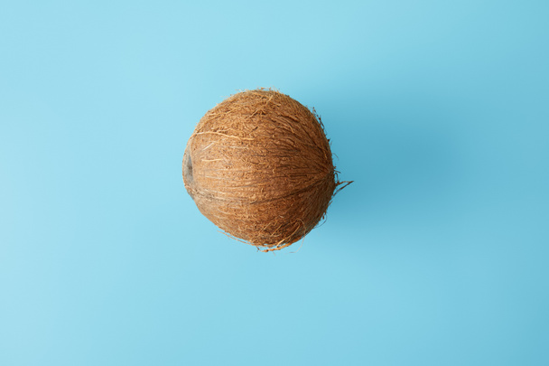 top view of fresh coconut isolated on blue - Φωτογραφία, εικόνα