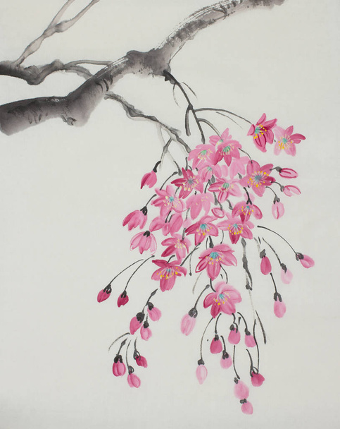cherry blossom branch painted in Japanese style - Photo, Image
