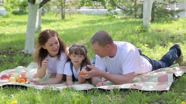 Een gelukkig gezin van drie mensen op een picknick. Een jonge vrouw omgaat met haar echtgenoot met fruit en een jonge dochter. - Video