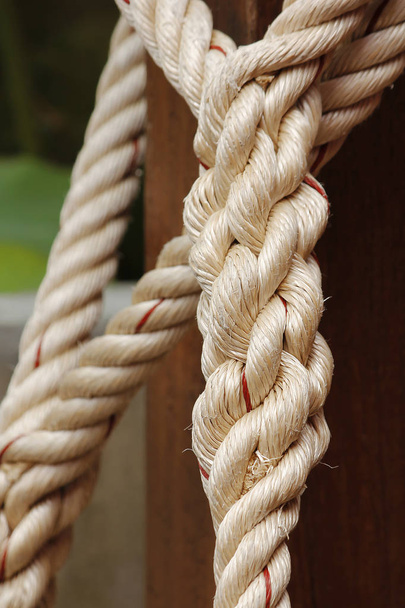 Large white rope that bound. - Photo, Image