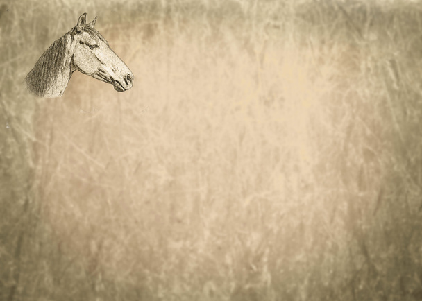 小さなセピア テキスト ページ上の馬の肖像画 - 写真・画像