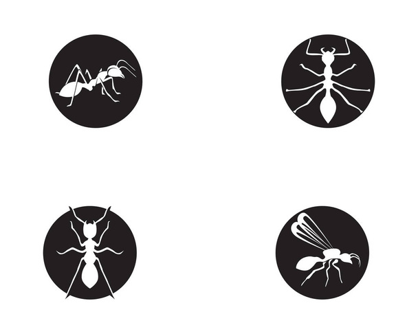 Ant Logo plantilla vector illustratio
 - Vector, imagen