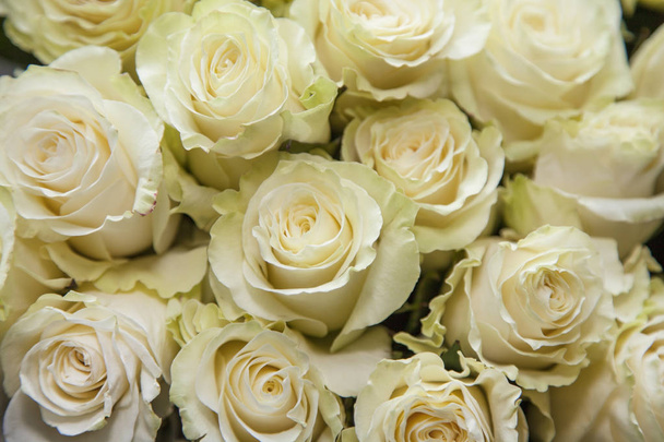 háttér egy gyönyörű fehér Rózsa csokor - Fotó, kép