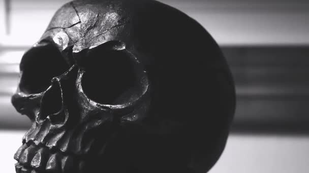 Fekete-fehér koponya - Felvétel, videó
