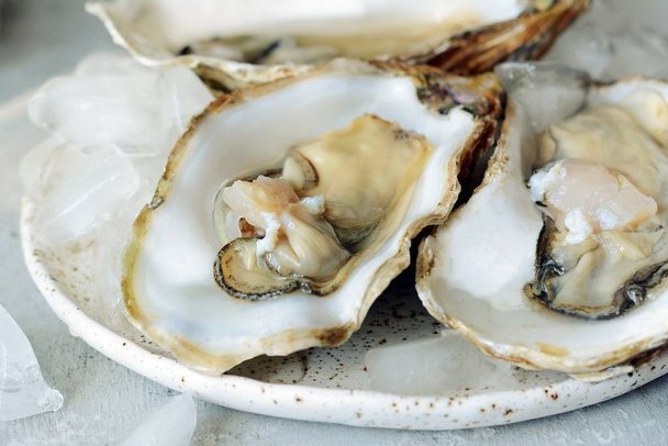 Mediterranean oysters on a light background with ice. Sea delicacy. - Photo, Image