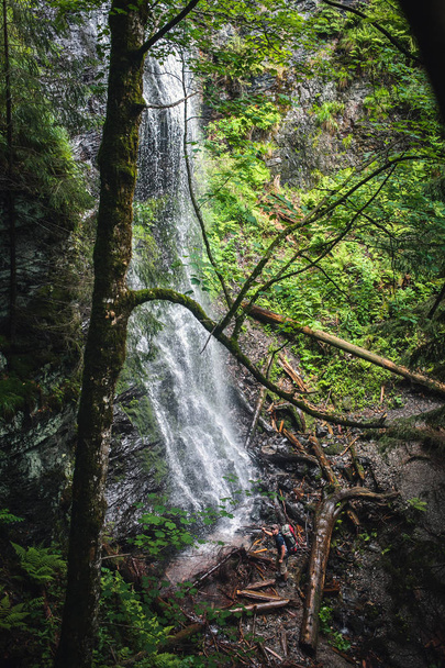 Tourist at Beautiful Forest Waterfall - Photo, Image