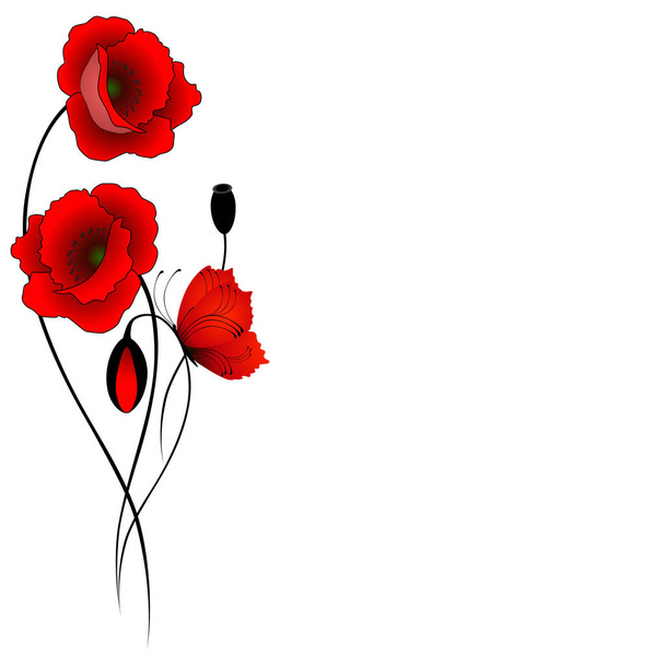Red poppies with butterfly isolated on white background. - Vector, Image