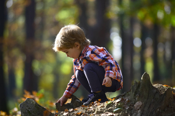 Autumn vacation and camping. Activity and active rest for kid. Child play on fresh air outdoor. Little prince in fairy tale woods. Small boy play in autumn forest. - 写真・画像