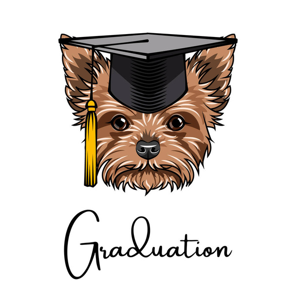 Yorkshire terrier graduate. Graduations hat cap. Dog portrait. Cute pet. Vector. - Wektor, obraz