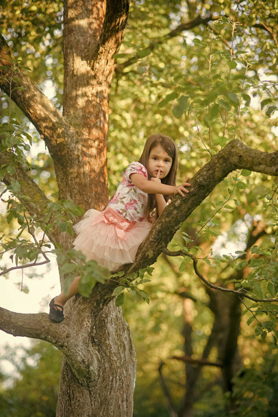 Kids enyoj happy day. Fashion child in fashionable dress hide on tree, secrecy - Фото, изображение