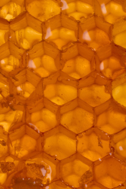 Imagen de fondo vertical de textura de peine de miel retroiluminada
 - Foto, imagen