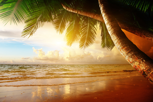 amanecer en la playa del Caribe
 - Foto, imagen