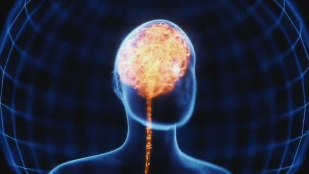 頭と神経接続と電気パルスの概念で人間の脳の x 線。脳の中の輝き。強力な心. - 映像、動画