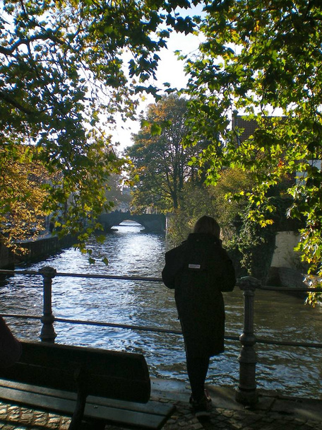 若い子、手すりにもたれて、ベルギーのブルージュ運河。木は、運河をオーバー ハングします。葉は、色を変更し始めています。水は、後半の午後の陽に輝く. - 写真・画像