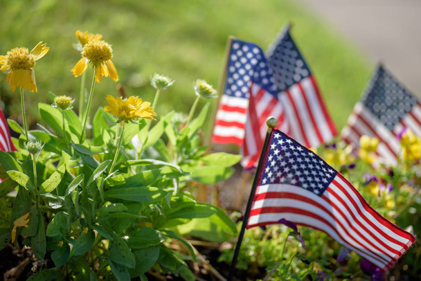 low angle closeup of American flags in garden in morning sunlight - Fotó, kép