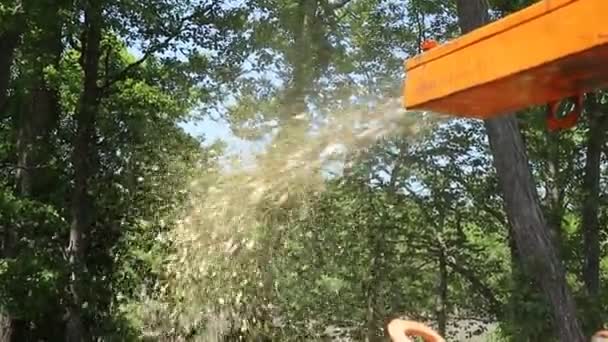 Topol kmeny bruska se třísky dřeva štěpkovač je připravena k použití - Záběry, video