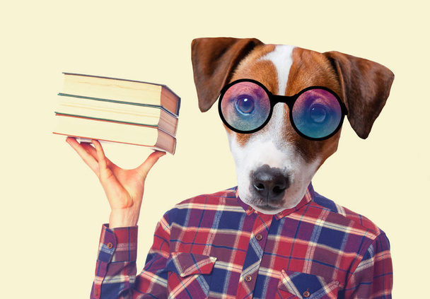 Antropomorfní pes s knihami - Fotografie, Obrázek