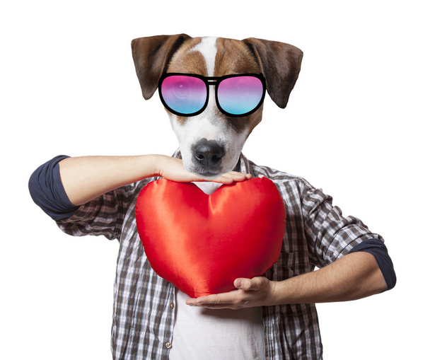 Ανθρωπόμορφο σκυλί με σχήμα καρδιάς - Φωτογραφία, εικόνα