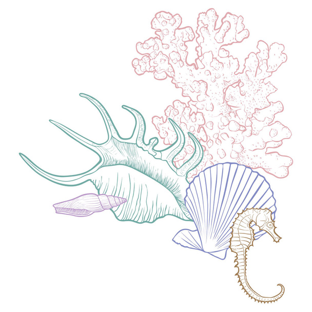 vector background with seashells - Vector, Image