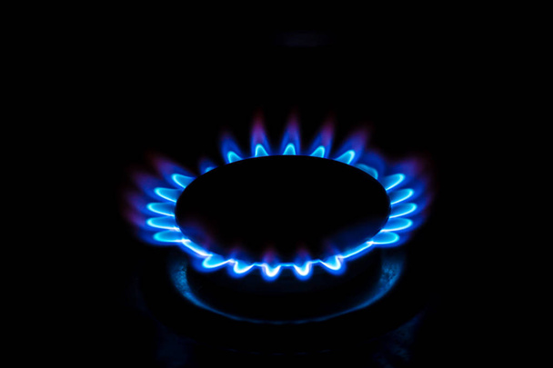 Газова конфорка з блакитним палаючим газом виглядає як квітка
 - Фото, зображення