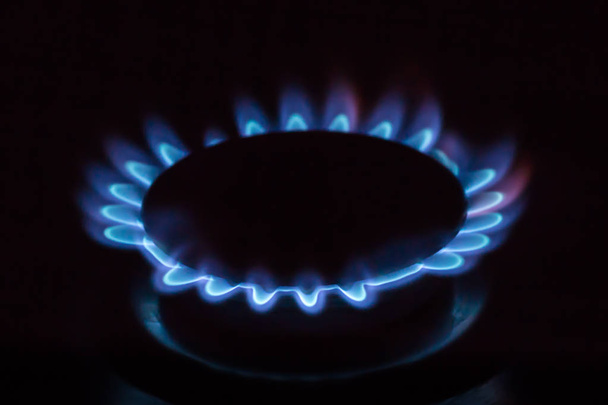 Газовая горелка с голубым горящим газом похожа на цветок
 - Фото, изображение