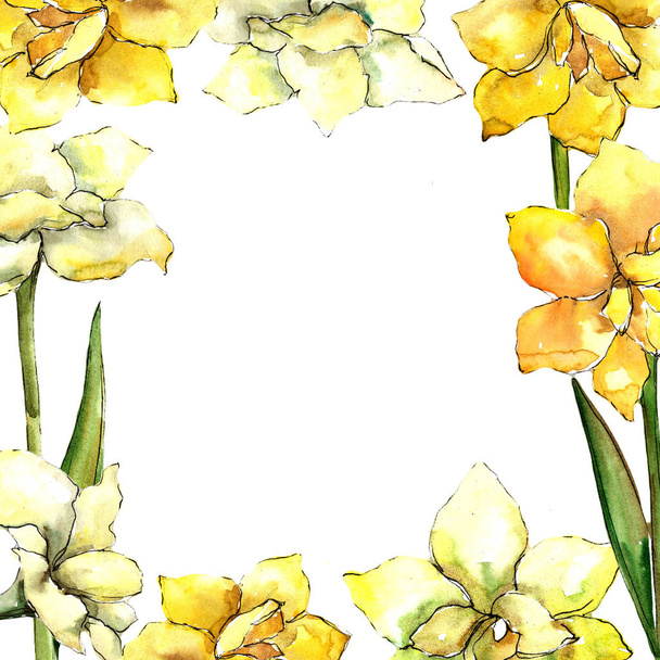 Κίτρινο amaryllis. Floral βοτανικό λουλούδι. Πλατεία στολίδι περίγραμμα πλαισίου. Ακουαρέλα wildflower για φόντο, υφή, μοτίβο περιτύλιγμα, πλαίσιο ή στα σύνορα. - Φωτογραφία, εικόνα