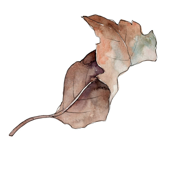 Viburnum leaves in a watercolor style isolated. Aquarelle leaf for background, texture, wrapper pattern, frame or border. - Foto, Bild