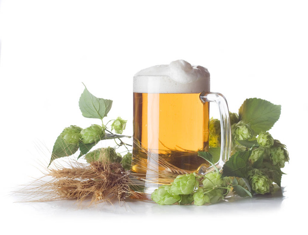 Szklanka świeżego piwa z chmielu zielony  - Zdjęcie, obraz