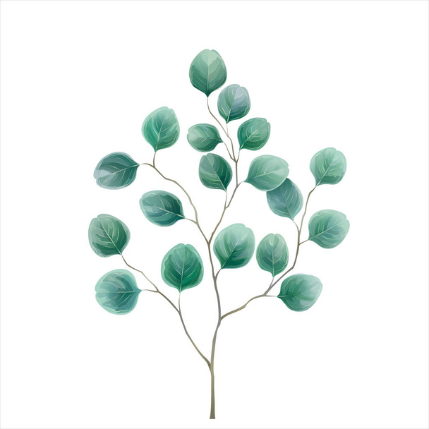 Eucalyptus silver dollar. Watercolor vector illustration in mint blue-green tones. Herbal design for textile and background - Vektor, obrázek