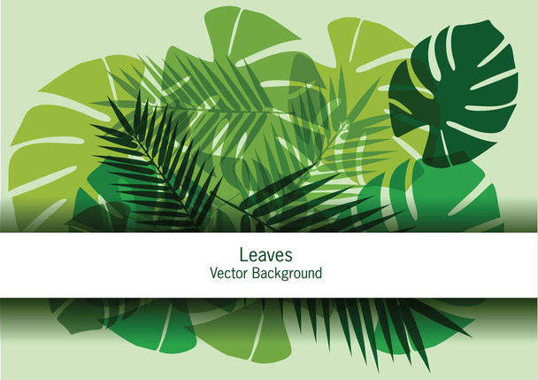 Abstract vecto palm leaves background. Bright green tropical palms leaves.Green leaves illustration. - Vector, Image